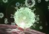 Coronavirus impact on the Indian economy