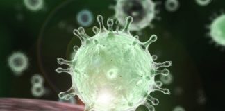 Coronavirus impact on the Indian economy