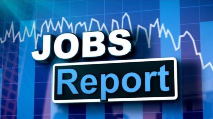 Hiring in IT sector least impacted by COVID-19 disruptions: Report Hiring in IT sector least impacted by COVID-19 disruptions: Report