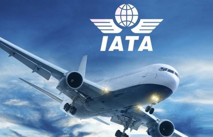 IATA urges Centre to support Indian airlines to tide over COVID crisis IATA urges Centre to support Indian airlines to tide over COVID crisis