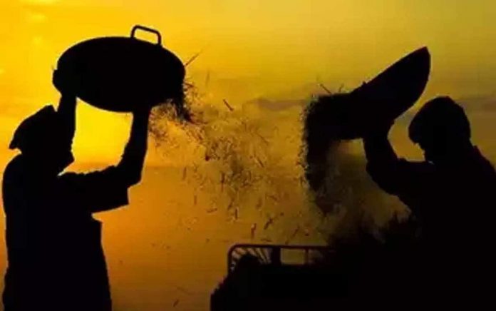 Labour Ministry seeks feedback on draft social security rules
