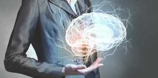 The Role of Organizational Neuroscience in Human Resource Management