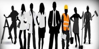 Payroll Reporting in India – A Formal Employment Perspective