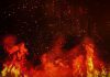 Fire at UPL India plant kills two, injures 26