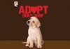 Valentine’s Day: Café Coffee Day is organizing pet adoption drive in Bengaluru