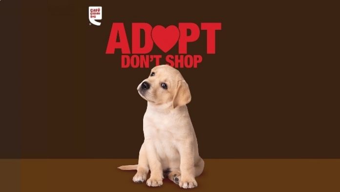 Valentine’s Day: Café Coffee Day is organizing pet adoption drive in Bengaluru