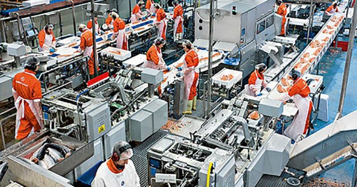 Govt approves 45 projects related to food processing, to create jobs for over 37K people Govt approves 45 projects related to food processing, to create jobs for over 37K people