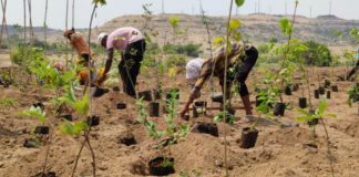 Sony Pictures Networks joins hands with SayTrees for a greener planet