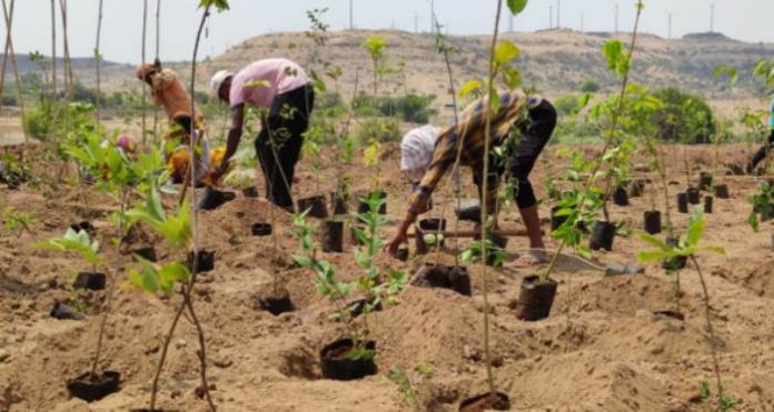 Sony Pictures Networks joins hands with SayTrees for a greener planet Sony Pictures Networks joins hands with SayTrees for a greener planet
