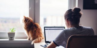 Remote work leads to massive surge in hacking globally: Report