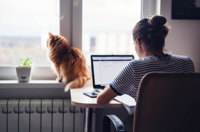 Remote work leads to massive surge in hacking globally: Report Remote work leads to massive surge in hacking globally: Report