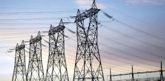 Around 1,000 power sector employees have succumbed to COVID-19
