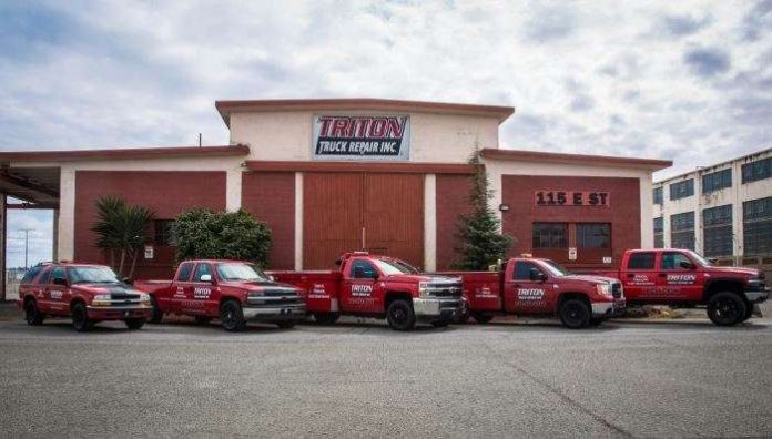 Tesla’s rival Triton to create 24,000 jobs in Telangana for new EV factory