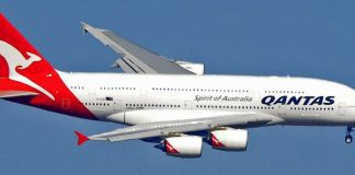 Qantas idles 2,500 more staff as COVID-19 cuts domestic flights