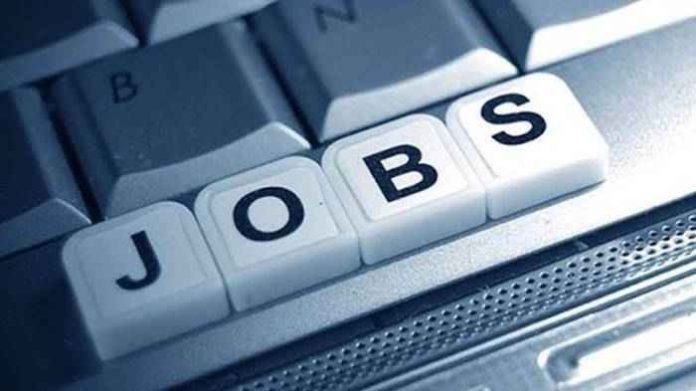 IMAC launches projects to generate over 12K jobs- Centre-compressed IMAC launches projects to generate over 12K jobs- Centre