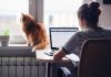 Government is planning to introduce a legal framework for remote work