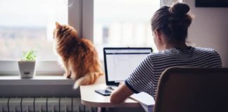 Four-day workweek likely to be implemented in India FY 2022-23