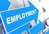What are Centrally Sponsored Schemes for Employment?