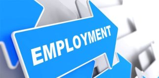 What are Centrally Sponsored Schemes for Employment?