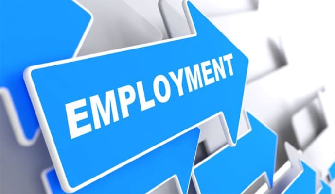 What are Centrally Sponsored Schemes for Employment What are Centrally Sponsored Schemes for Employment?