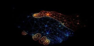 AICTE and Salesforce collaborate to upskill students with digital skills for the future of work