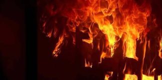 Andhra Pradesh: Six killed in fire accident at chemical plant, dozen injured