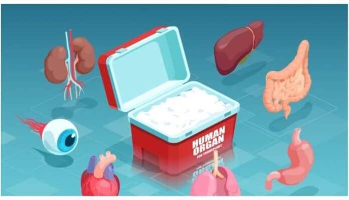 Govt. approves 42 days Special Casual Leave Organ Donation Govt. approves 42 days Special Casual Leave Organ Donation