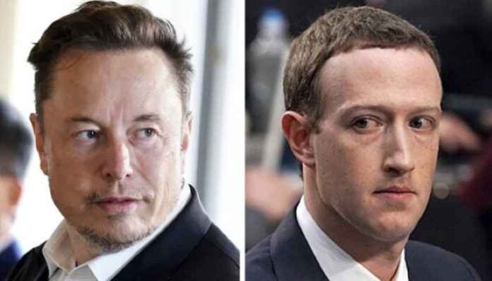 Elon Musk vs Mark Zuckerberg Cage Fight Elon Musk vs Mark Zuckerberg Cage Fight