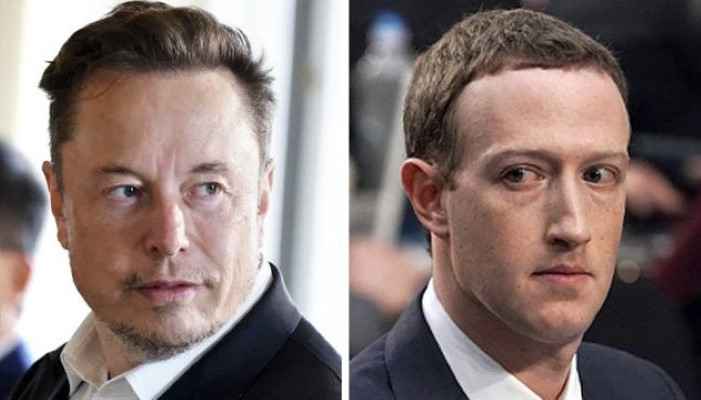 Elon Musk vs Mark Zuckerberg Cage Fight