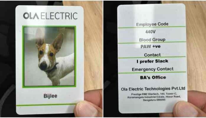 Ola Electric CEO hires a dog as the company's employee