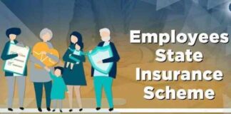 ESIC: 8.25 lakh young employees upto 25 years new registrations