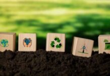 Sustainability in HR transcends compliance, driving meaningful change