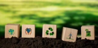 Sustainability in HR transcends compliance, driving meaningful change