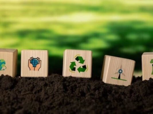 Sustainability in HR transcends compliance, driving meaningful change
