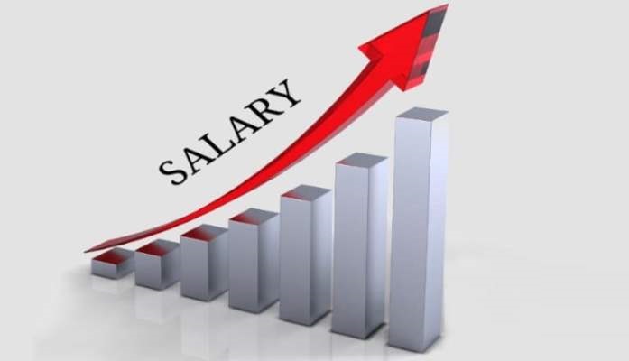 Average India increment is expected to be 9.0% in 2024, Deloitte Average India increment is expected to be 9.0% in 2024, Deloitte