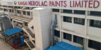 Nerolac Paints on hiring spree; HR intern Management Trainee - IT