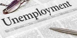 Female Unemployment Drops to 8.5% in January-March 2024