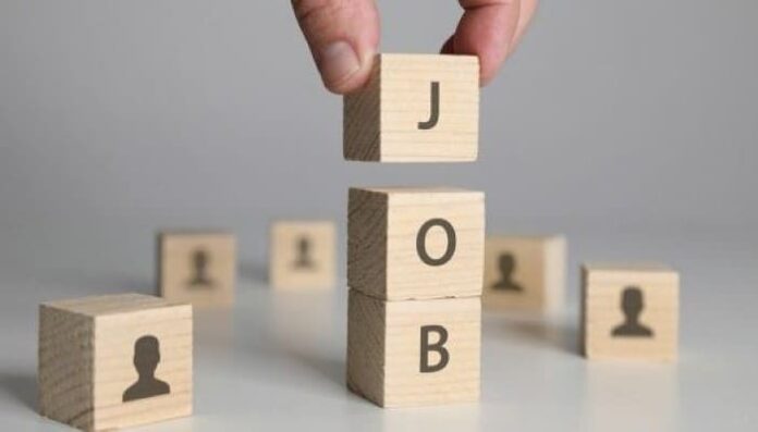 Software, hardware industries dominate 32 of fresher hiring Software, hardware industries dominate 32% of fresher hiring